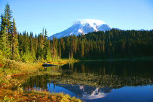 Mt Rainier