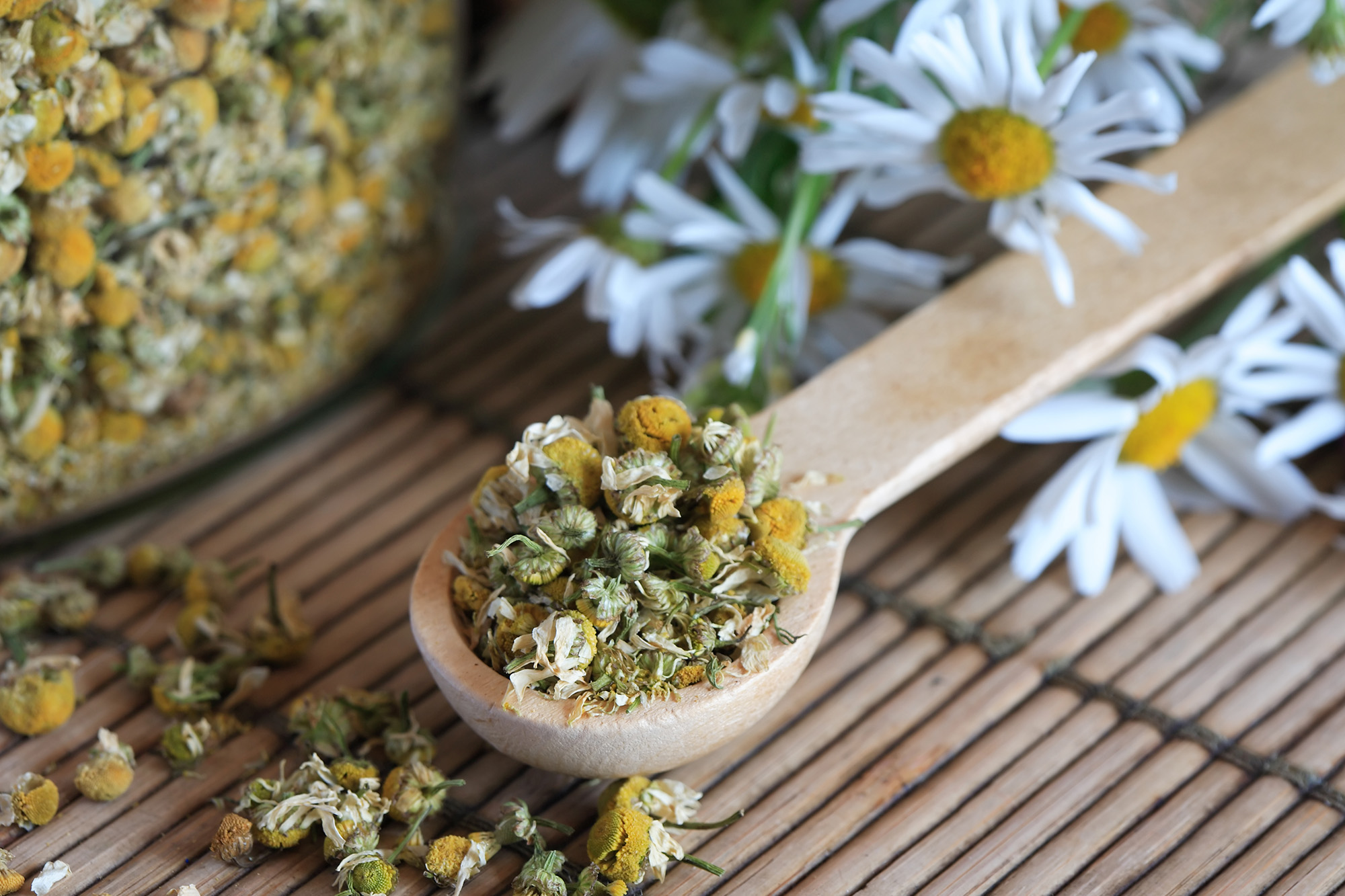 dried chamomile in a wooden spoon