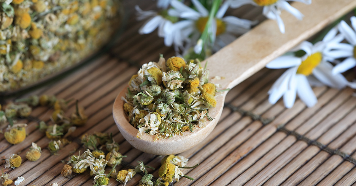 dried chamomile with wooden spoon